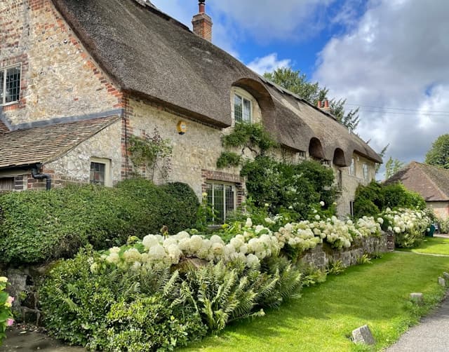 Thatched Roof Cost Per M2: A Comprehensive UK Pricing Guide