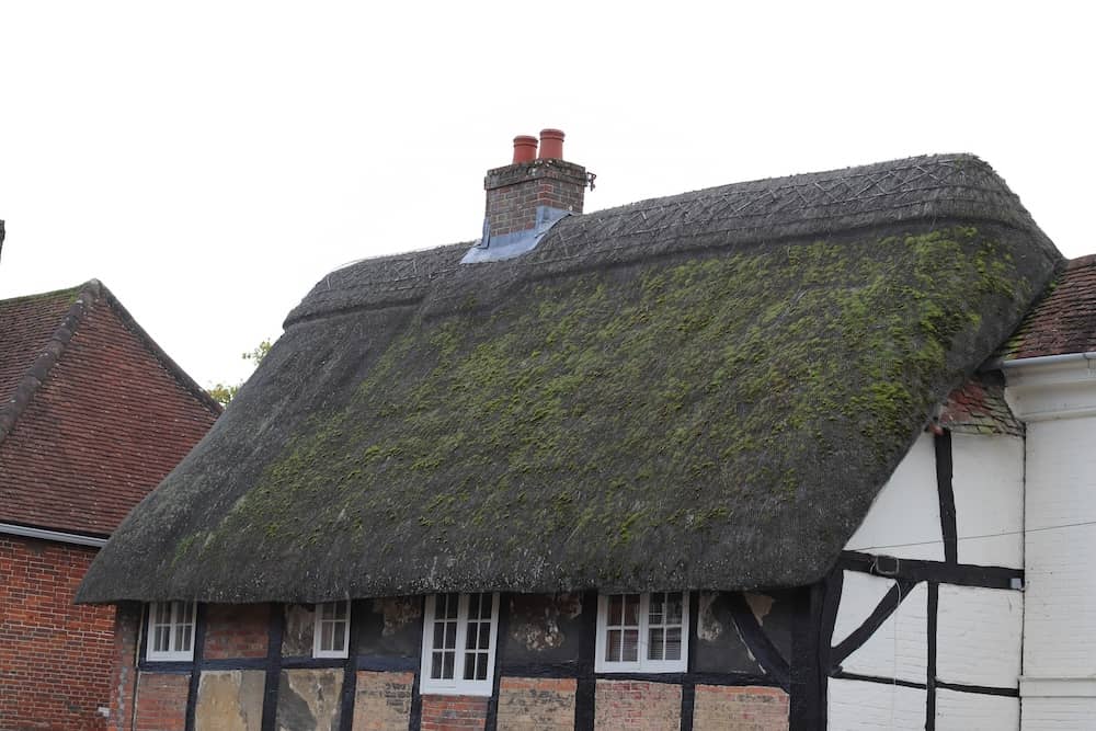 What Does Thatched Roof Insurance Actually Cover (and Exclude)?